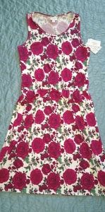 LuLaRoe Summer dress
